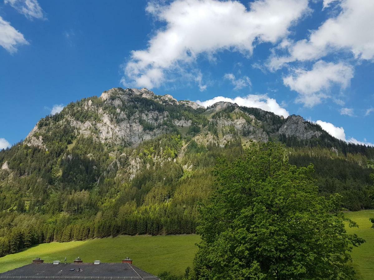 Vermietung Ronner