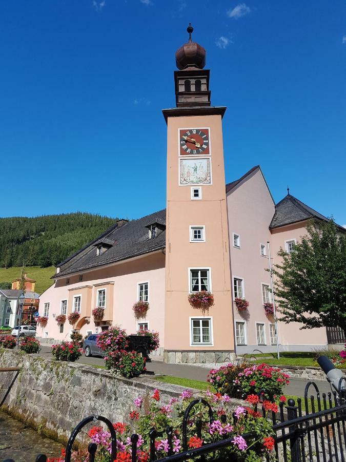 Vermietung Ronner Appartamento